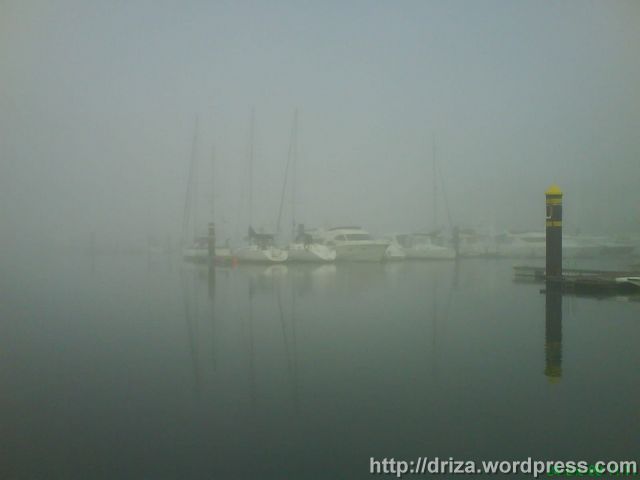 niebla_1 niebla_1