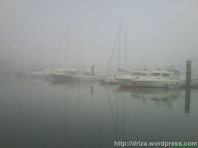 niebla_2 niebla_2