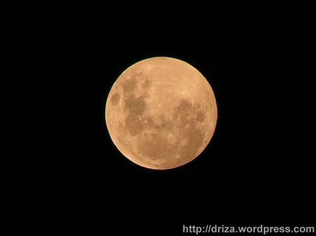 Un primer plano de nuestra amiga, cuando más grande estaba