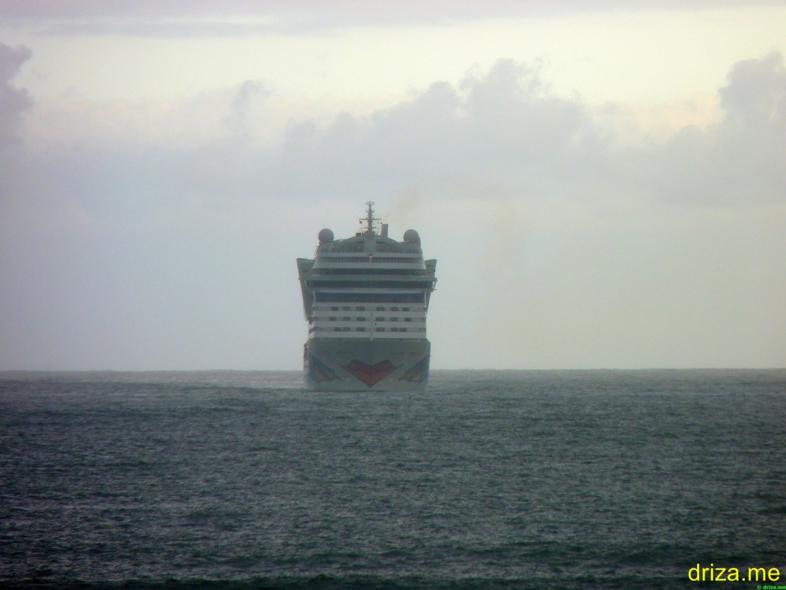 Pintado con sus característicos labios. Muy oscuro debido a la lluvia. (Foto: Dogbert)